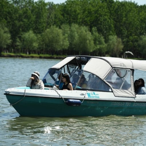 Excursii delta Dunarii Plimbari cu barca Croaziera