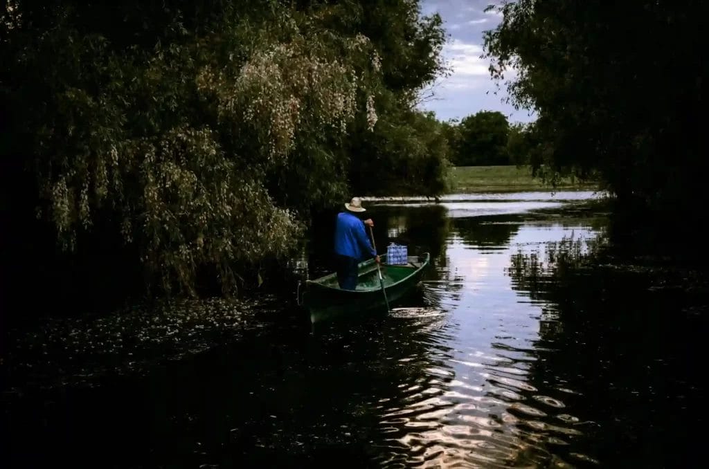 Nearchus Nautica Excursii in Delta O persoană îmbrăcată într-o cămașă albastră și o pălărie stă într-o mică barcă verde pe un râu calm și reflectorizant. Râul este înconjurat de copaci luxurianți, deasupra apei, iar suprafața apei este ușor ondulată. Fundalul este format din mai mulți copaci și un cer parțial înnorat.