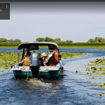 Delta Dunarii turism excurie Nautic Tour Excursii Delta Dunarii Croaziera Delta cu barca 1