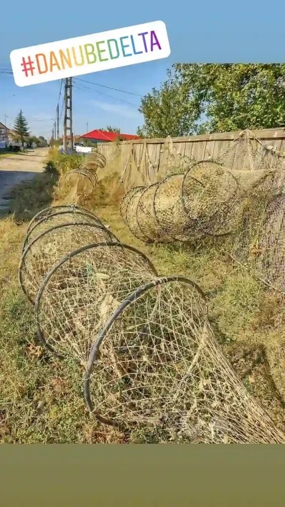 Nearchus Nautica Excursii in Delta Plasele de pescuit sunt așezate să se usuce pe iarbă, lângă un gard de lemn și o potecă de pământ. În fundal, se văd copaci, o casă cu acoperiș roșu și un stâlp electric. Un autocolant cu hashtag-ul „#DANUBEDELTA” este plasat în partea de sus a imaginii.