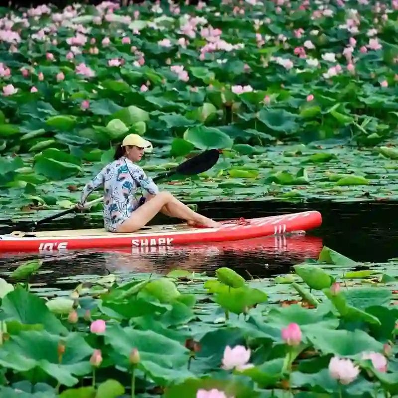 Nearchus Nautica Excursii in Delta O persoană care poartă o șapcă și o cămașă cu model se plimbă cu caiacul pe un caiac roșu numit „SARK” printr-un lac plin cu crin verzi mari și flori de lotus roz înflorite. Apa senină este acoperită cu frunziș, creând o scenă pitorească și liniștită.