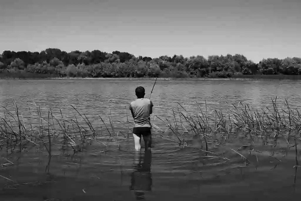 Nearchus Nautica Excursii in Delta O persoană stă până la genunchi în apă, cu fața opusă, înconjurată de stuf și pești într-un lac calm. Persoana poartă un tricou și pantaloni scurți. Copaci denși mărginesc malul opus, sub un cer senin. Scena este în alb-negru.